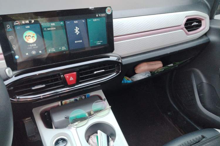 Used SOL E10X 2022 Flower Fairy Style Baby's Breath