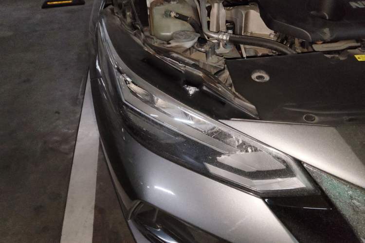 Used Nissan Sylphy 2020 Revised 1.6L XL CVT Enjoyment Edition Right Front Headlight