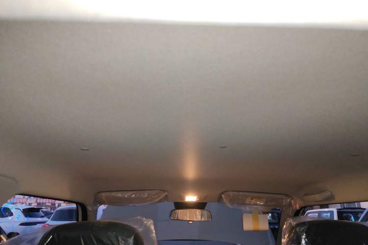 Used Qiyuan Lumin 2026 Model Treasure Edition 205km Passionate Beige Ningde