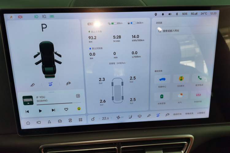 Used Li Auto L6 2024 Pro Model