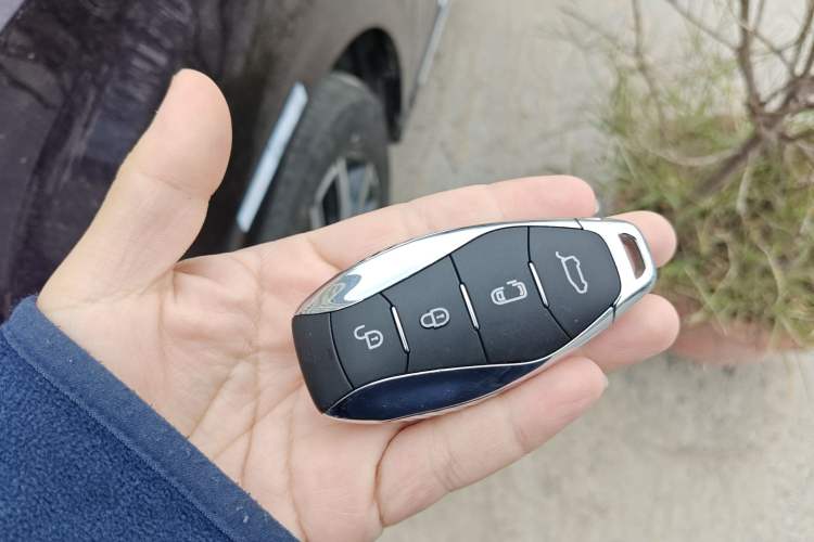 Used Hongqi HQ9 2023 2.0T Smart Connect Flagship Edition
