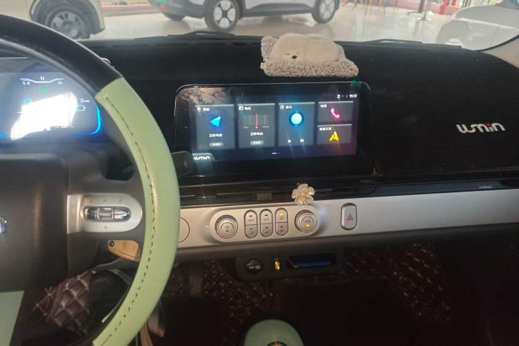 Used Qiyuan Lumin 2023 205km Xiangqin Version
