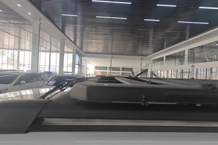 Used Tank 300 2024 2.0T Conqueror