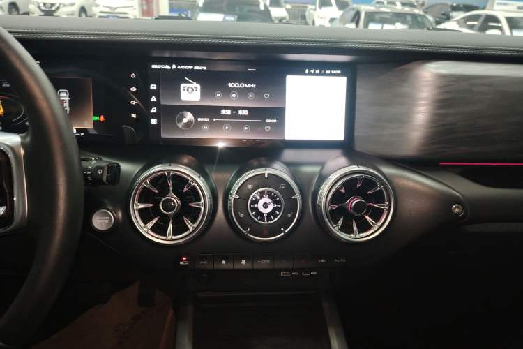 Used Tank 300 2022 2.0T Border Limited Edition