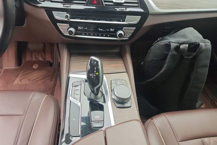 Used BMW 5 Series 2020 530Li Leading Edition Luxury Package
