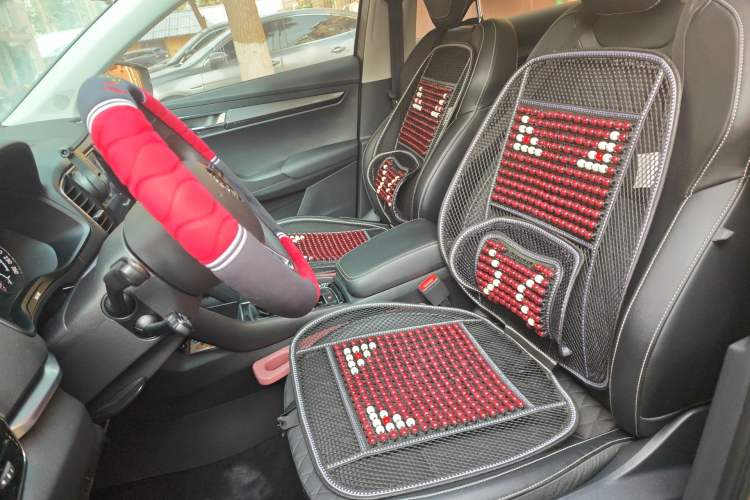 Used Skoda Karoq 2020 TSI280 Luxury Smart Edition China VI Standard Left Front Seat