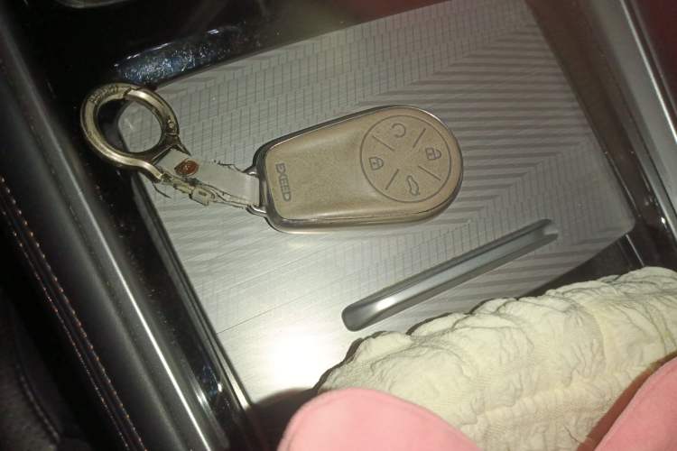 Used EXEED Lingyun 2023 400T Two-Wheel Drive StarRui Pro Edition
