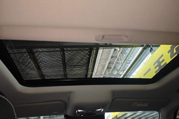 Used Tank 300 New Energy 2025 Hi4-T Headliner