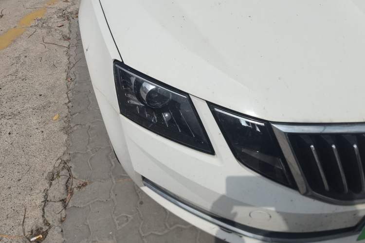 Used Skoda Octavia 2019 TSI230 DSG SmartDrive Luxury Edition China VI Right Front Headlight