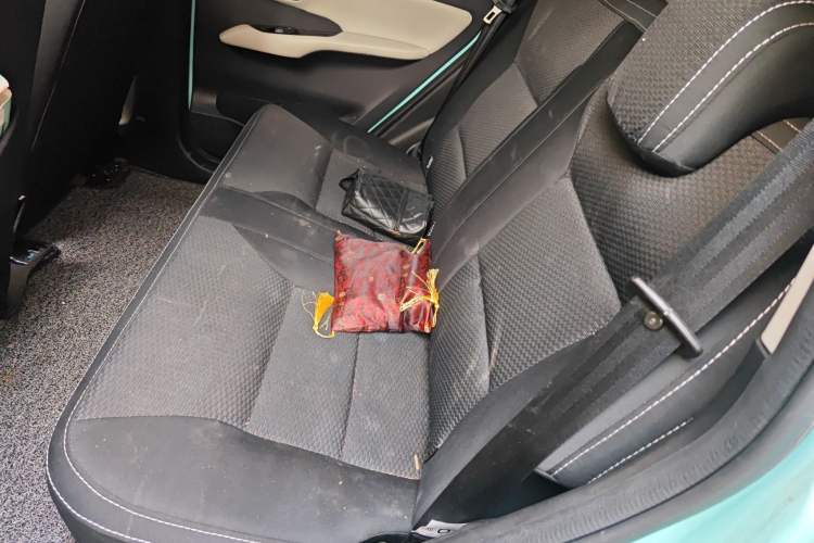 Used Pocco Duoduo 2022 Le Duoduo
