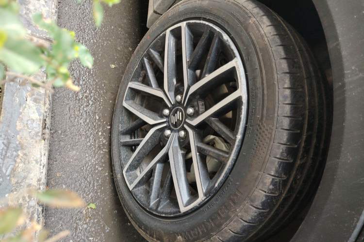 Used WM Motor EX6 2020 Plus Founder's Edition – First Launch