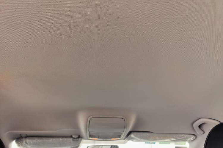 Used Skoda Octavia 2019 1.5L Automatic SmartDrive Comfort Edition China VI Standard Headliner