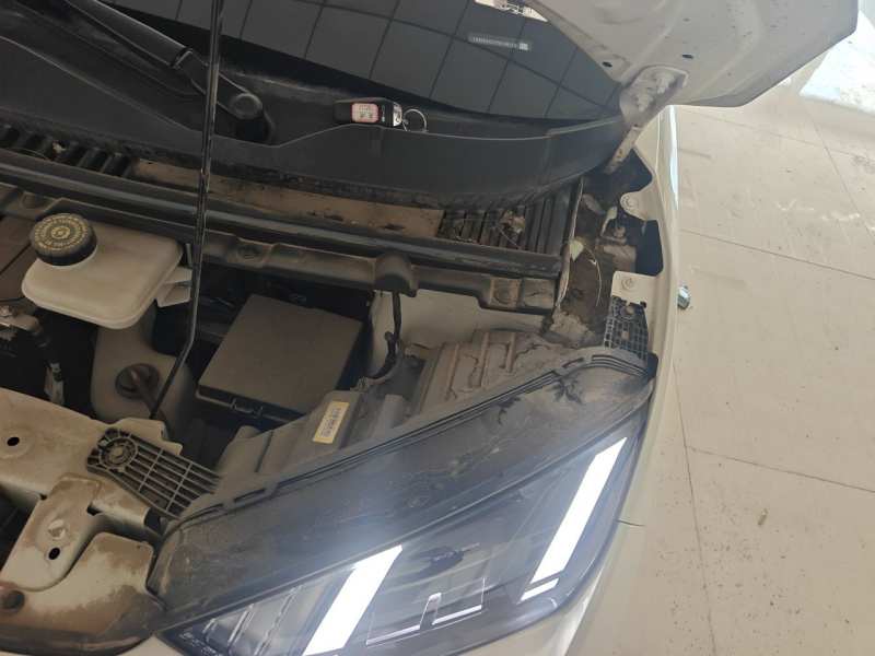 Used BYD Seagull 2023 Free Edition — 23