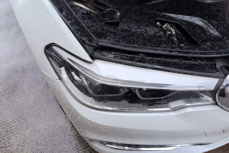 Used BMW 5 Series New Energy 2020 530Le Luxury Package
