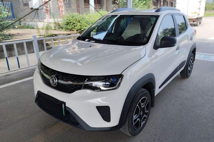 Used Dongfeng NAMMI EX1 2023 PRO Light Wind Edition Lightning Model