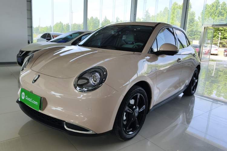 Used ORA Good Cat 2024 401 km Luxury Version