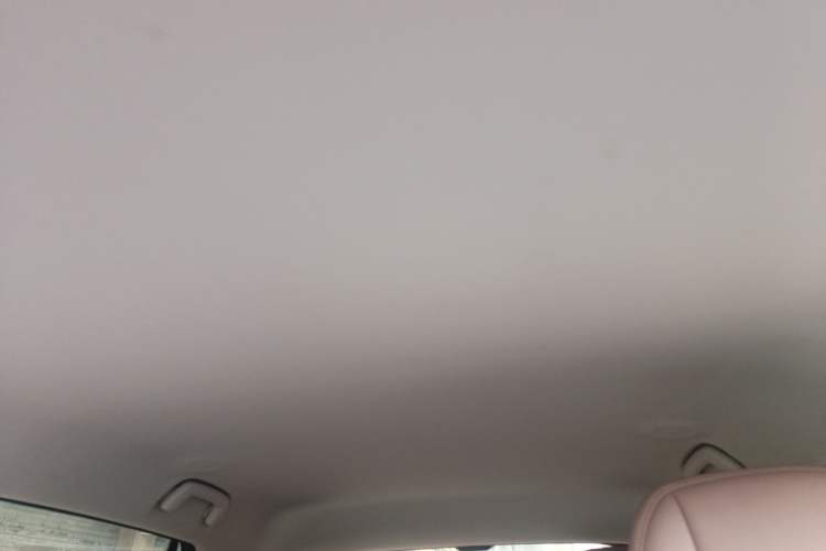 Used AION UT 2025 420 Smart Edition Headliner