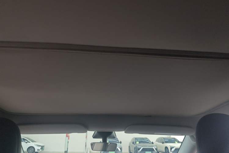 Used Tesla Model Y 2022 Performance High-Performance All-Wheel-Drive Version Headliner