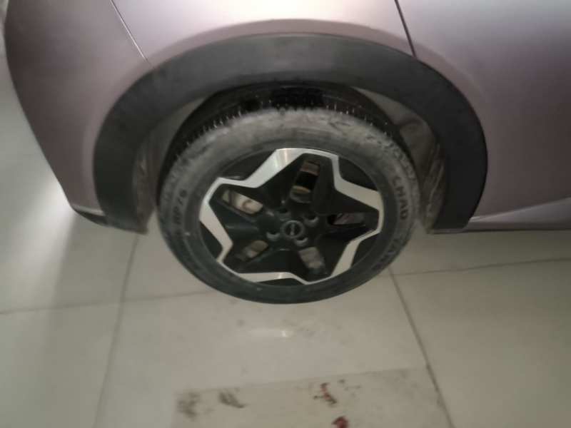 Used BYD Dolphin 2021 405 km Fashion Edition — 25