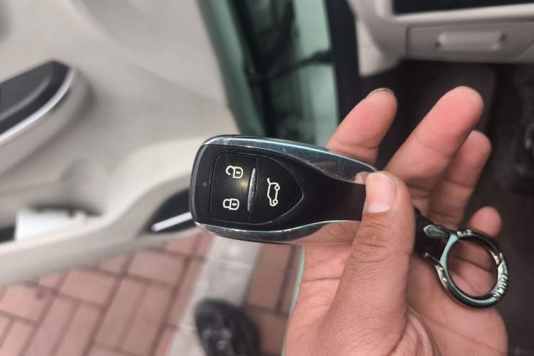 Used Dayun Yuehu 2023 300 Standard Edition