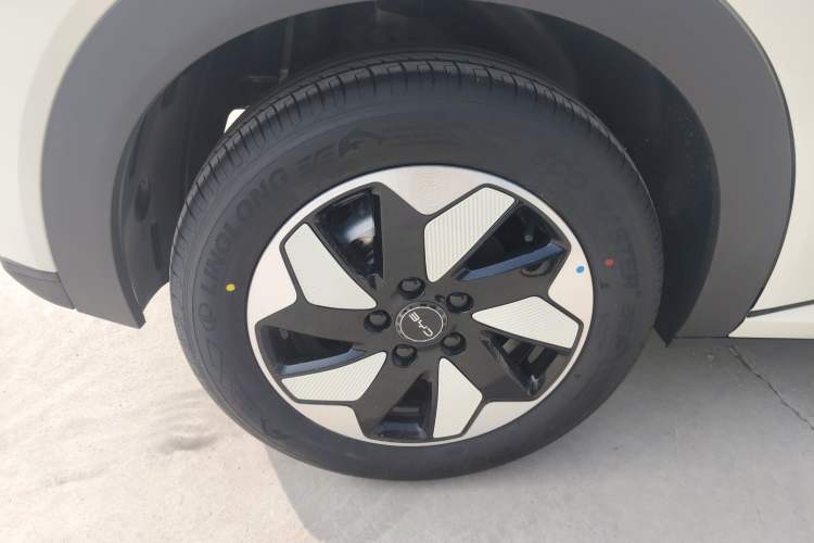 Used BYD Dolphin 2025 420km Free Edition