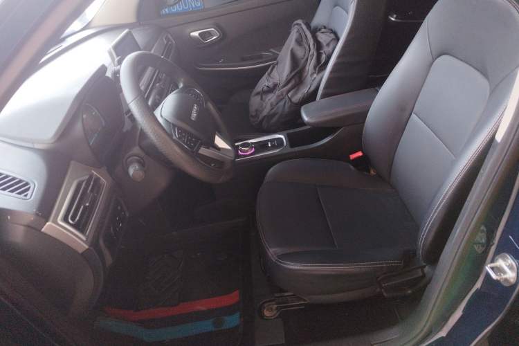 Used Dayun Yuehu 2022 30.66 kWh Two-Wheel Drive VIP Edition
