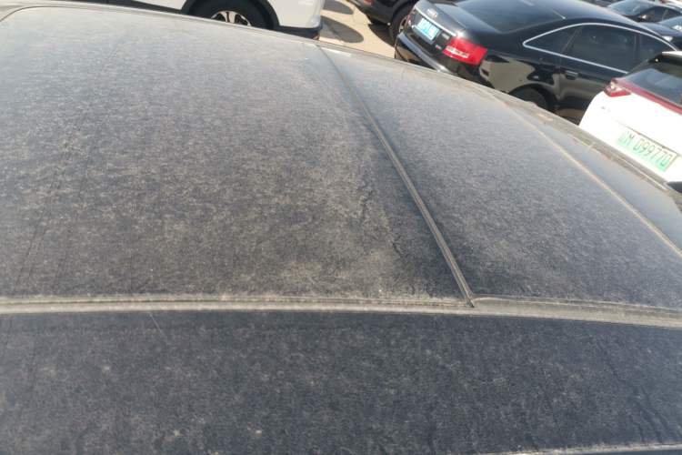 Used Volkswagen Magotan 2019 330TSI DSG Leading Model China VI Standard Roof