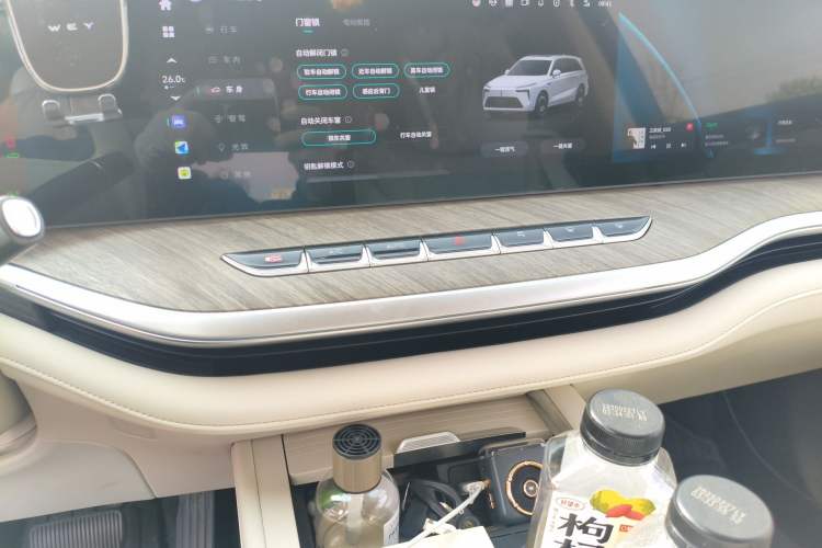 Used Wey Lanshan 2023 Four-Wheel Drive Ultra-Long Range Version
