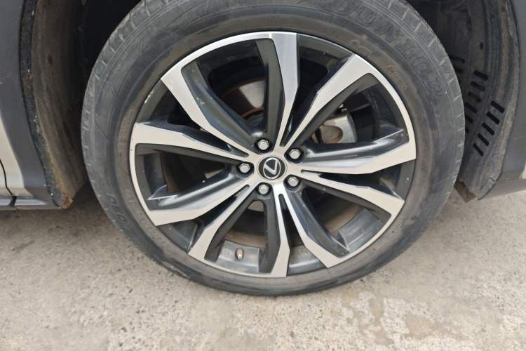 Used Lexus RX 2020 300 4x4 Elegant Edition China VI
