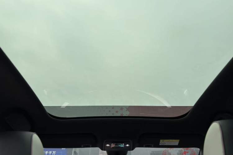 Used BYD Dolphin 2021 405 km Fashion Edition Headliner