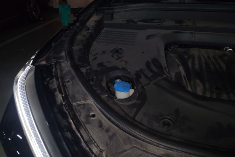 Used Wey Lanshan 2023 Four-Wheel Drive Ultra-Long Range Version