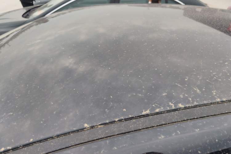 Used Hongqi E-QM5 2021 Charging Version Flagship Edition Roof