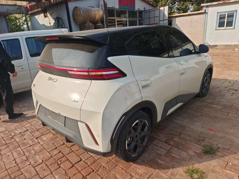 Used BYD Seagull 2025 305 km Free Version — 6
