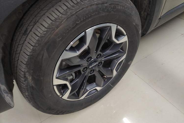 Used Haval DARGO 2024 2.0T DCT Chinese Rural Dog Edition
