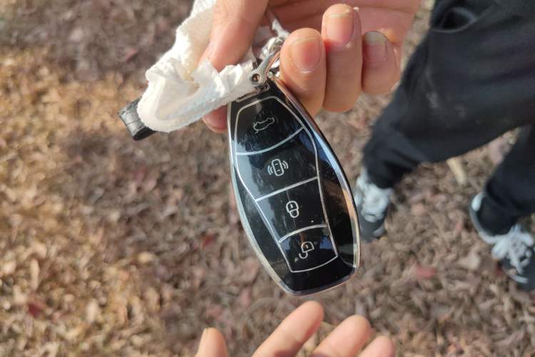 Used Hongqi H5 2024 2.0T Automatic Smart Connect Flagship Edition
