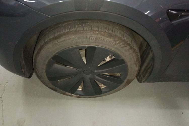 Used Tesla Model Y 2021 Standard Range Rear-Wheel Drive Version