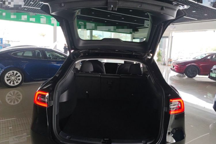 Used Tesla Model Y 2021 Standard Range Rear-Wheel Drive Version