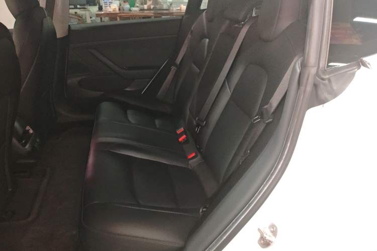 Used Tesla Model 3 2020 Revised Version Standard Range Rear-Wheel Drive – Upgraded Edition Left Rear Seat