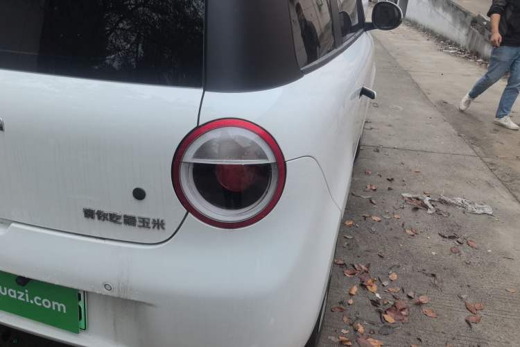 Used CHANGAN NEVO Lumin 2025 205 km Xiangqin Version Right Rear Taillight