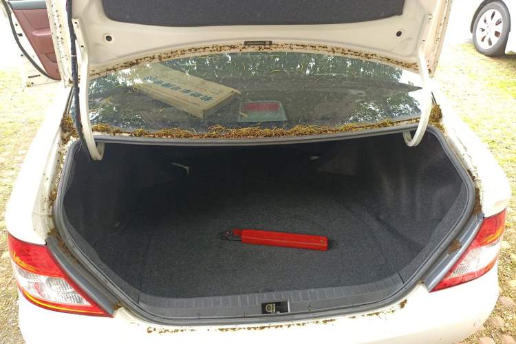 Used BYD F3 2018 1.5L Manual Classic Model Trunk