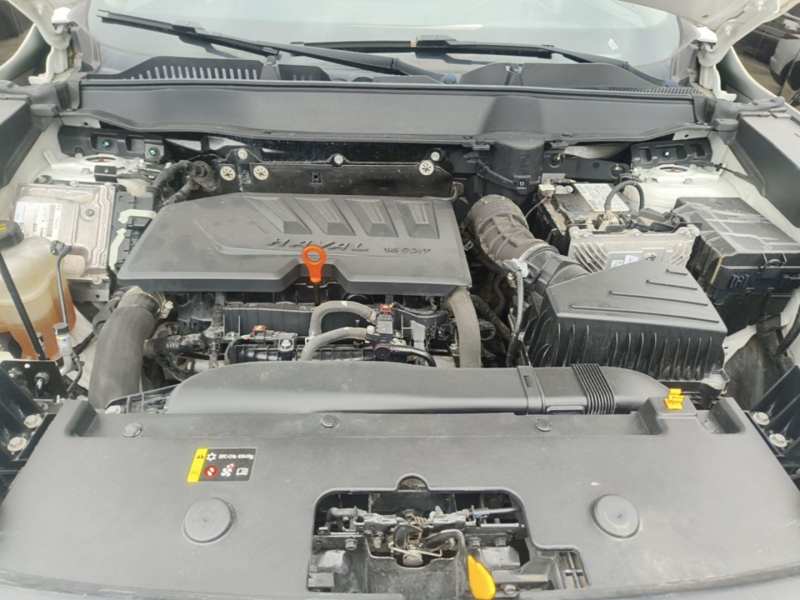 Used Haval H6 2021 3rd Generation 1.5T Automatic Two-Wheel Drive Max — 19
