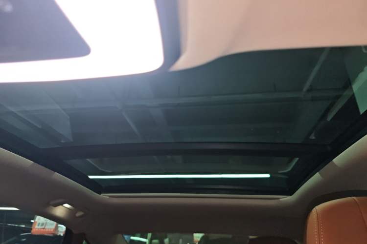 Used Hongqi H9 2020 2.0T Smart Connect Flagship Edition