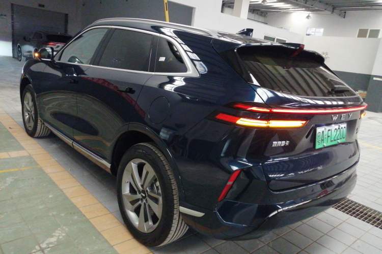 Used Wey Mocha New Energy 2024 Hi4 Four-Wheel Drive Long-Range Version