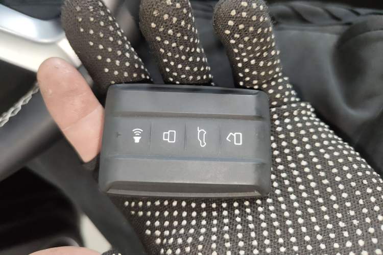 Used Tank 300 2024 2.0T Conqueror