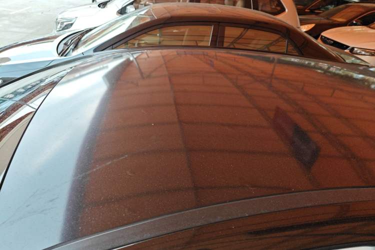 Used SOL E10X 2022 Flower Fairy Design Four-Leaf Clover Roof