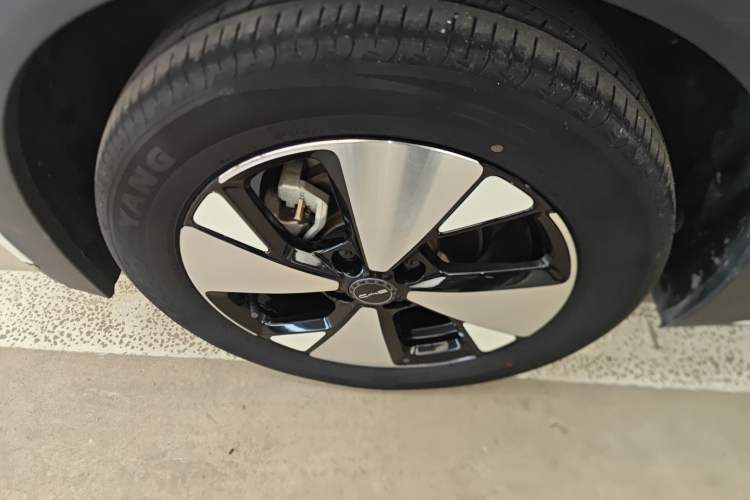 Used BYD Dolphin 2023 420 km Free Version