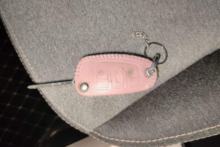 Used Chery QQ Ice Cream 2022 170km Sundae Phosphate Lithium-Ion Vehicle Key