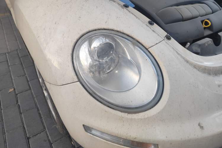 Used Volkswagen Beetle 
