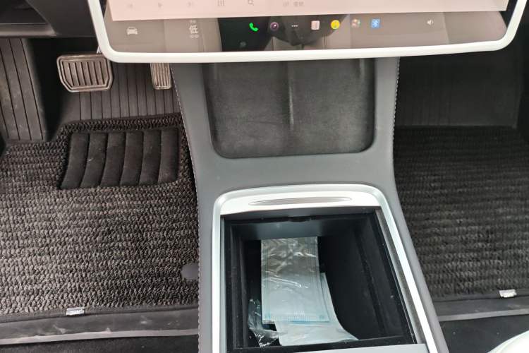 Used Tesla Model 3 2022 Rear-Wheel-Drive Version
