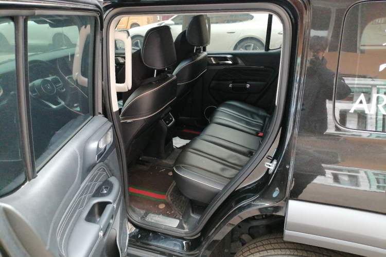 Used Tank 300 2024 2.0T Conqueror